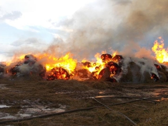 Пожар потушили на чабанской стоянке в Забайкалье, сгорело 4 тонны сена