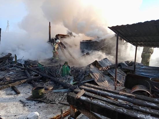 Двое мужчин погибли в Новосибирской области, пытаясь согреться