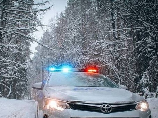 В Брянске сегодня вышли на охоту скрытые патрули