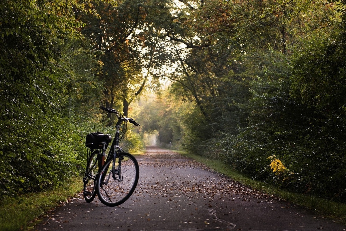 Велосипед в парке