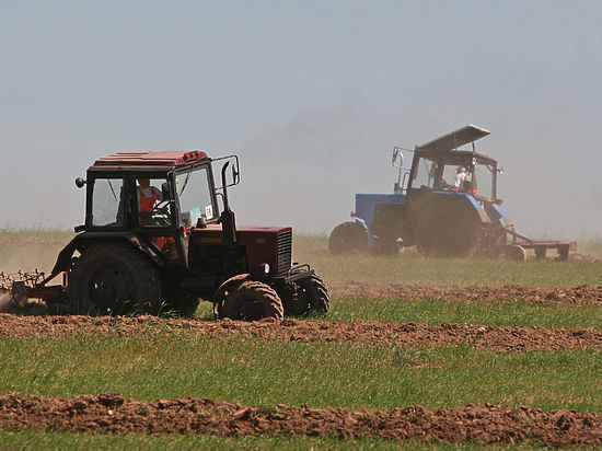 Эксперты оценили будущее аграриев в случае отмены субсидии по льготному кредитованию