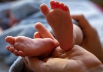 Коронавирус не воздействует на развитие мозга и нервной системы ребенка в утробе матери