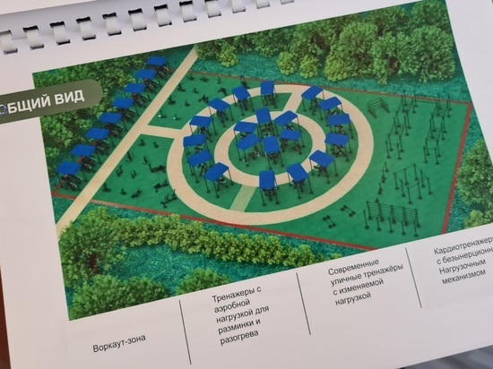 В этом году в Тамбове начнутся работы по созданию «Народного фитнес-парка»