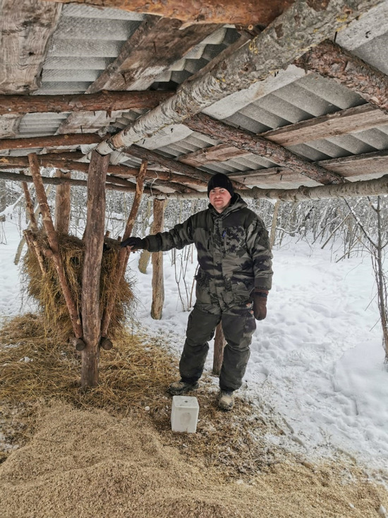 В Белгородской области лесных животных подкармливают охотоведы