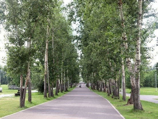 Новая аллея для пешеходов появится в восточной части острова Татышев в Красноярске