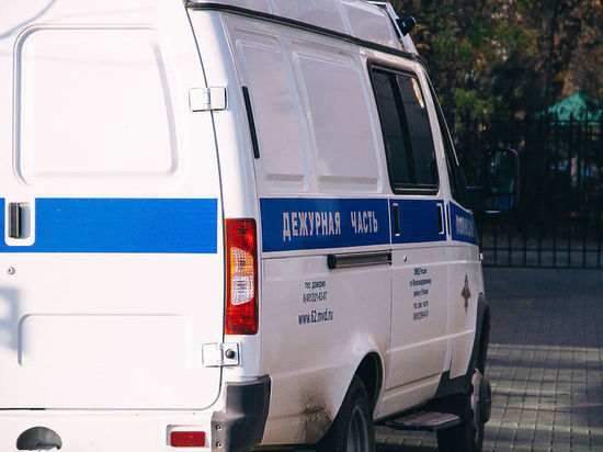 На улице Черновицкой в Рязани двое мужчин украли канализационные люки