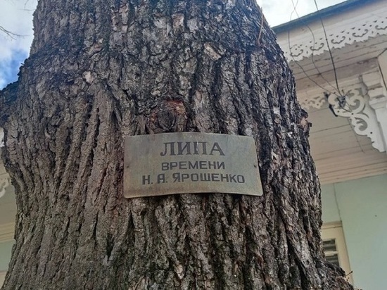 Кисловодск присоединился к акции «Мемориальные деревья России»