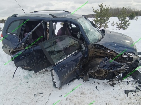 Пять человек пострадали в столкновении Chery и Kia под Рязанью