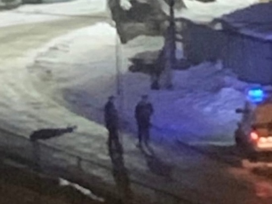 В Брянске на улице нашли труп человека