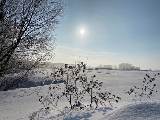15 февраля в Рязанской области ожидается до +2 градусов