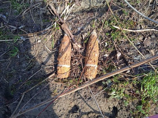В Крымском районе нашли очередной боеприпас времён ВОВ