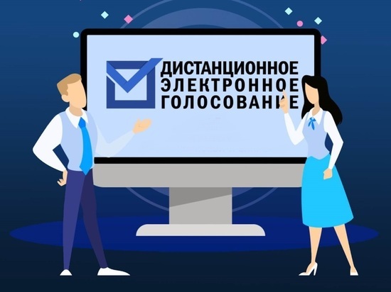Анастасия Смирнова: Дистанционное электронное голосование облегчает избирателям участие в выборах