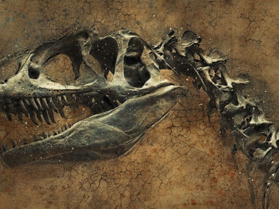 Съевший динозавра доисторический крокодил поразил ученых