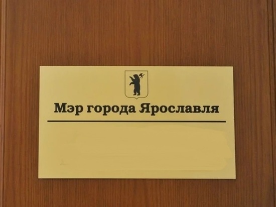 Мэру Ярославля завалили снегом дверь