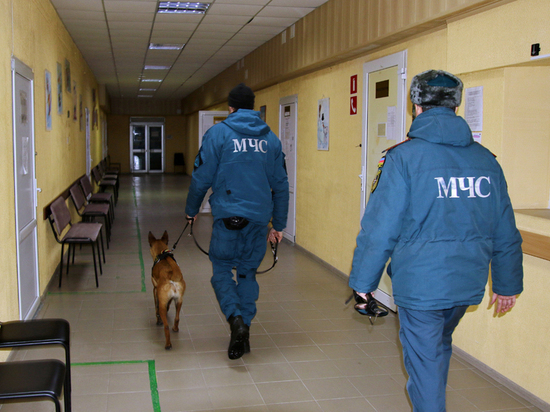 Полиция Донецка проверяет информацию о минировании