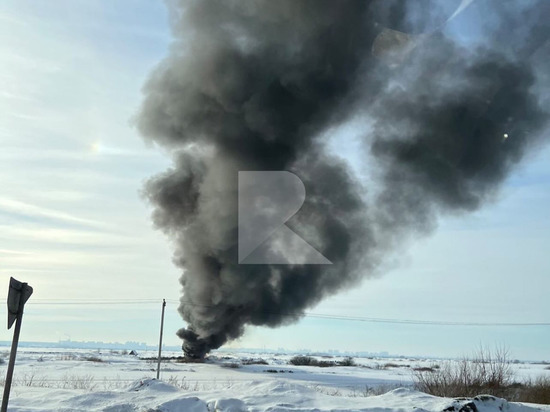 Неизвестные подожгли свалку в селе Дубровичи под Рязанью