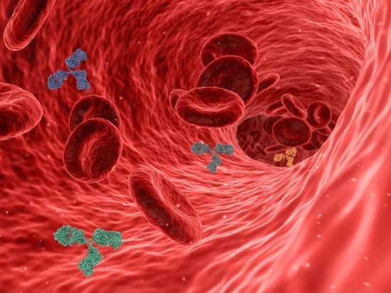 Гематолог раскрыла, какой фактор не влияет на защиту от тромбоза