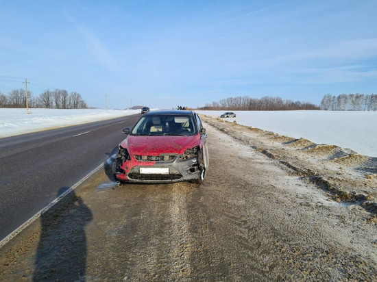 В ДТП в Скопинском районе с участием Renault и Ford пострадали два человека