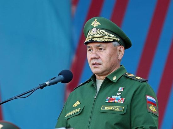 Шойгу посетил российские базы в Сирии и встретился с Асадом