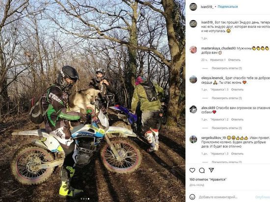 В лесу под Новороссийском туристы спасли собаку и енота