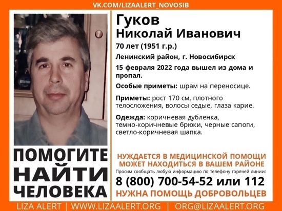 В Новосибирске всю ночь искали пропавшего пенсионера