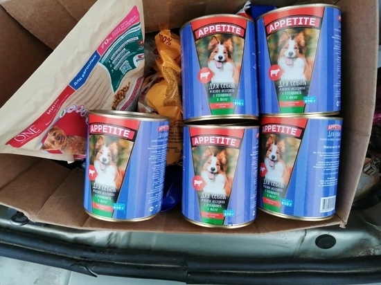 Волонтеры собрали 115 килограммов корма для бездомных животных в Ленобласти