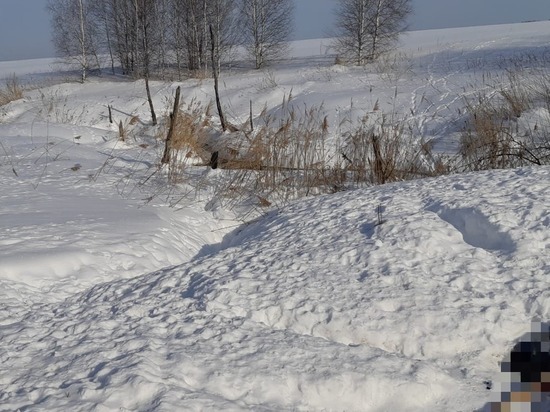 В Рязанской области обнаружили труп мужчины, объеденный лисами