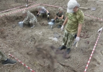 Российский Следственный комитет возбудил уголовное дело по факту обнаружения массовых захоронений мирных жителей в Донбассе