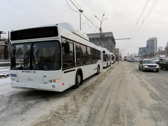 В Новосибирске запустят 150 новых автобусов в Первомайском и Советском районах: жители оценили изменения