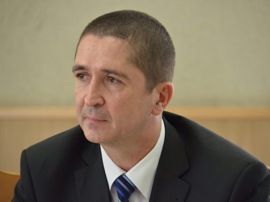 Депутат Щебеньков: население Читы скоро сравняется с числом бродячих собак