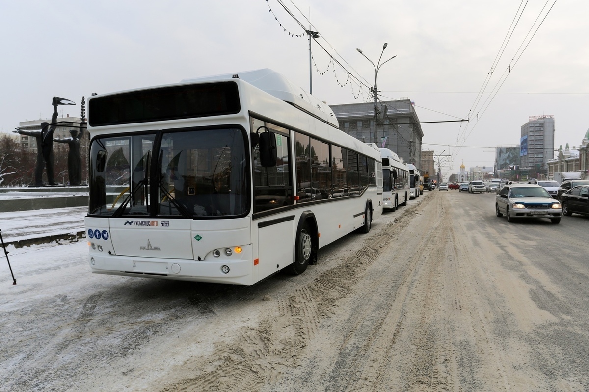 Автобусы новосибирска фото