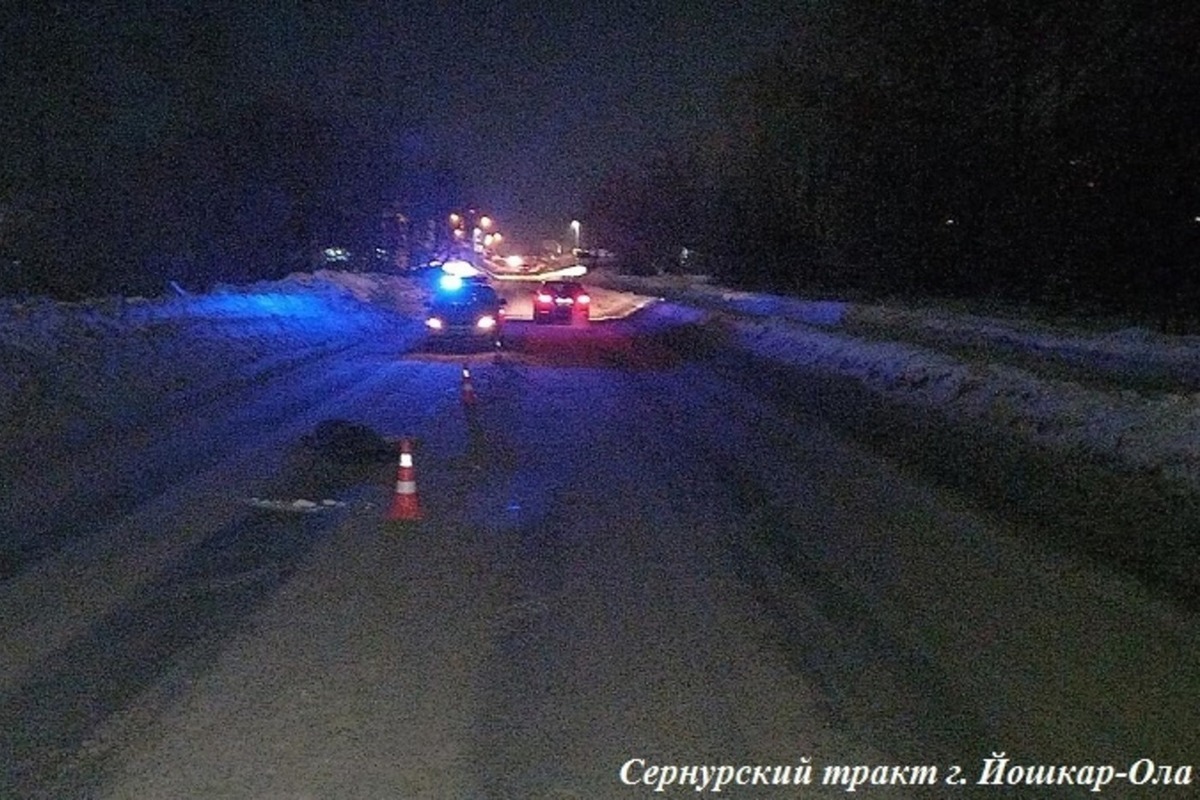 В Йошкар-Оле под колесами скорой помощи погибла женщина - МК Йошкар-Ола