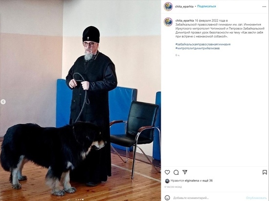 Митрополит Димитрий рассказал детям как вести себя с бродячей собакой