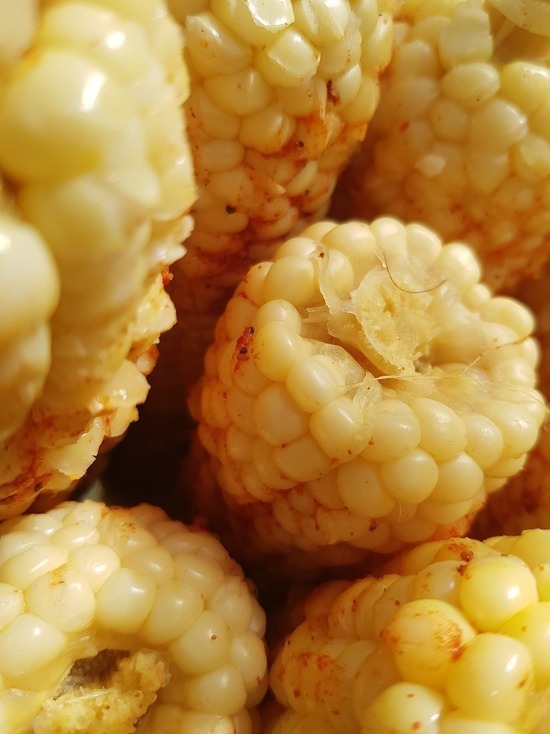 В Смоленске на Черняховке выявили незаконный объект