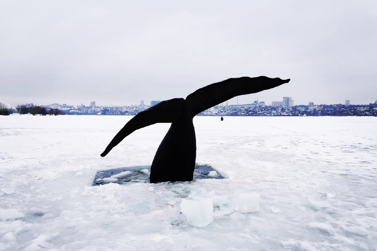 Хвост кита на Воронежском водохранилище