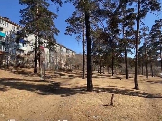 Гагаринский сквер в микрорайоне Читы обустроят в 2022 году