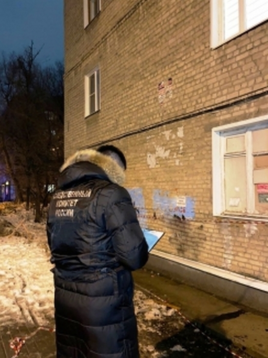 В Воронеже следственными органами организована проверка о травмировании 23-летней девушки упавшей на голову наледью