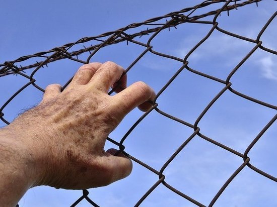 В Татарстане в прошлом году на 60% увеличилось число осужденных за коррупцию