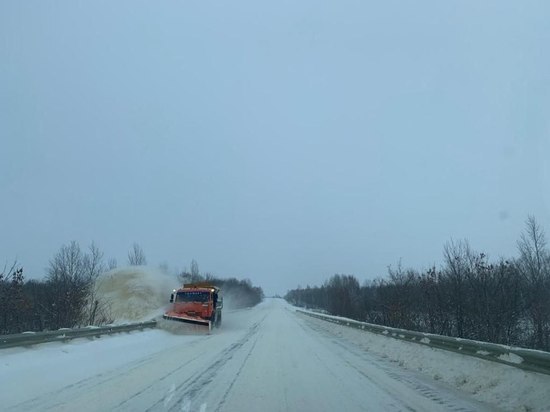 В Саратовской области обещают мокрый снег, туман и гололедицу