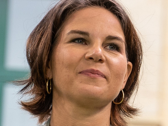 Глава МИД Германии допустила государственный переворот в Украине