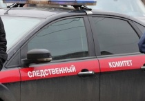 В Тарасовском районе Ростовской области обнаружили место разрыва еще одного снаряда