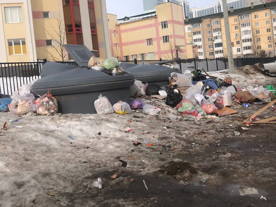 У школы № 73 в Рязани две недели не вывозят мусор