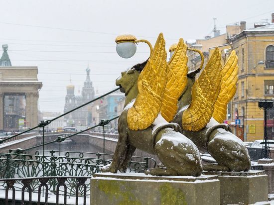Плюсовая температура и мокрый снег придут в Петербург 20 февраля