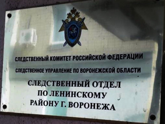 Следственный комитет взял под контроль происшествие с женщиной, которой льдина пробила голову в центре Воронежа