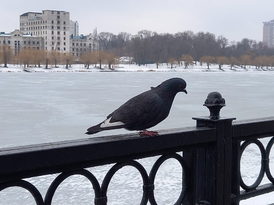 Ночь в Донецке прошла под звуки артиллерии