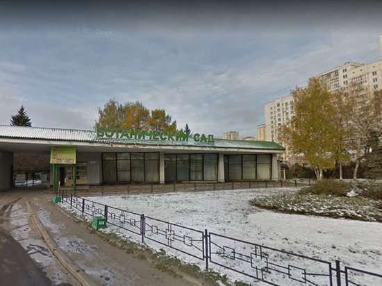 Королева орхидей распустилась в Ботаническом саду в Екатеринбурге