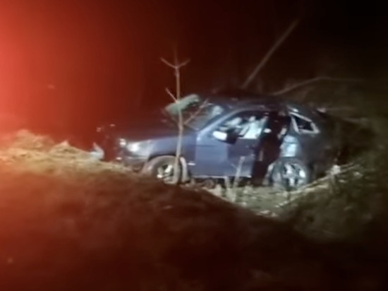 BMW протаранила дерево: 22-летний калининградец скончался до приезда «скорой»