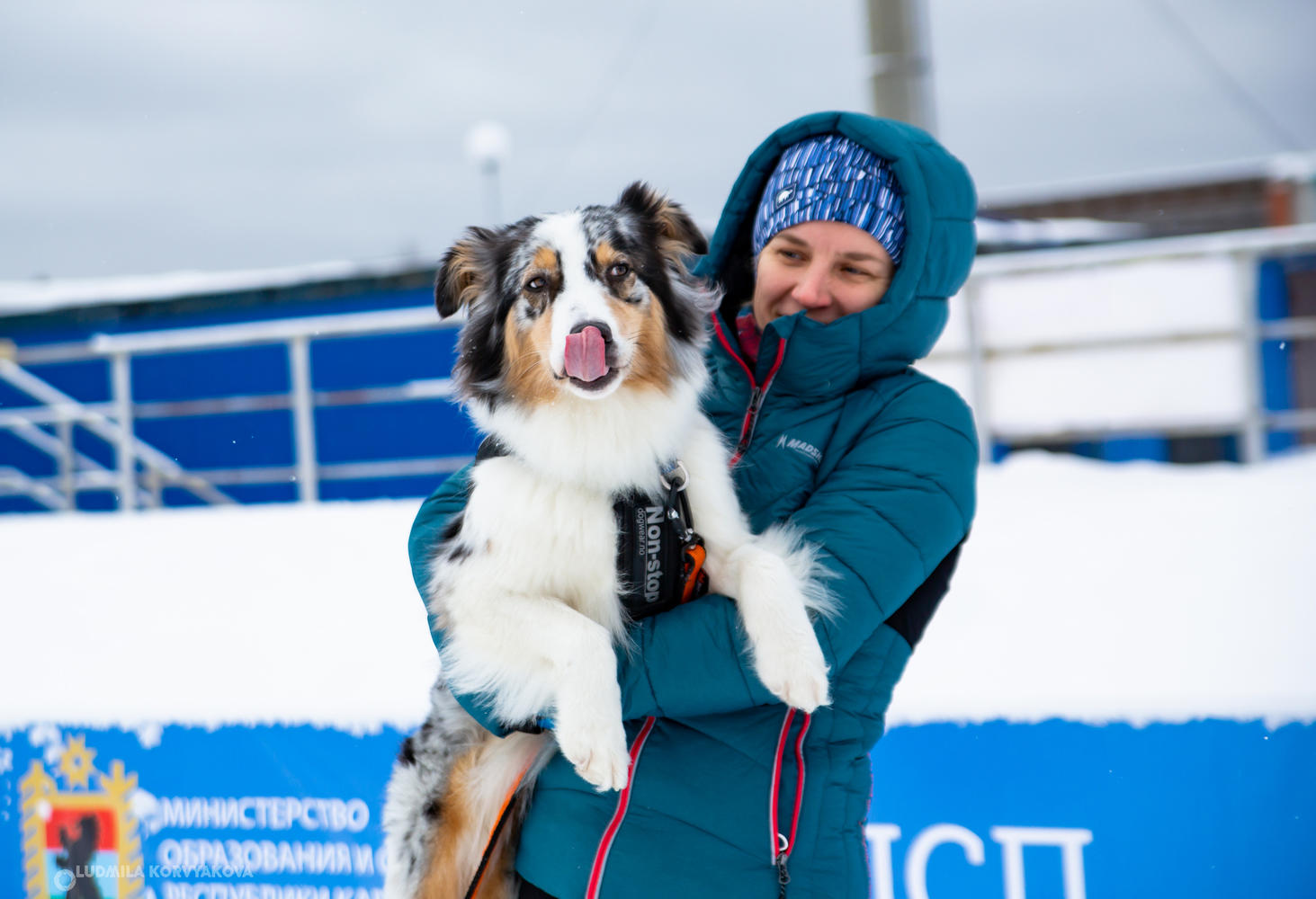 Karelia SkiFestDOG: competitions for those who love skiing and dogs