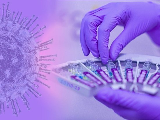 Глава Минздрава Карелии пояснил, когда лучше сдавать тесты на ковид