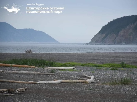 На Шантарах в Хабаровском крае появится первый в России музей китобойного промысла